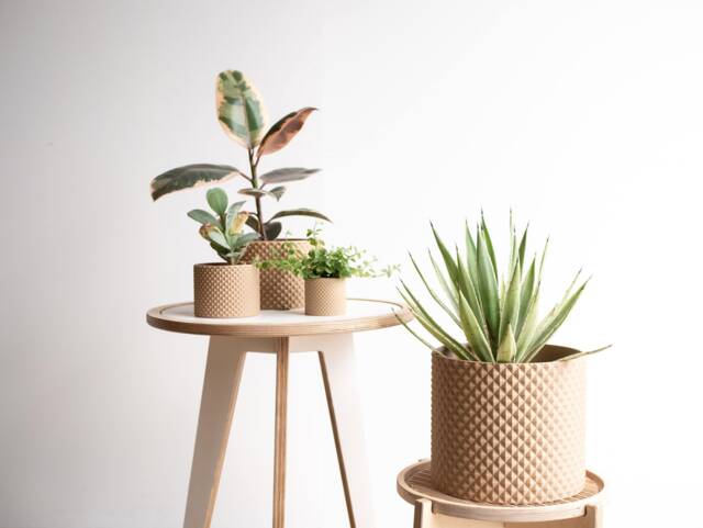 Large Indoor Planter - Piko Wood For Green Plant Cactus & Succulent Original Gift - image 1