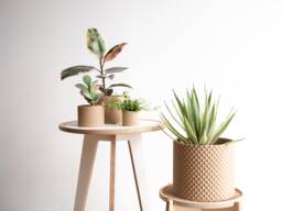 Large Indoor Planter - Piko Wood For Green Plant Cactus & Succulent Original Gift - thumbnail 1