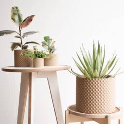 Large Indoor Planter - Piko Wood For Green Plant Cactus & Succulent Original Gift - thumbnail 3