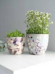 Sky Blue Botanical Plant Pot