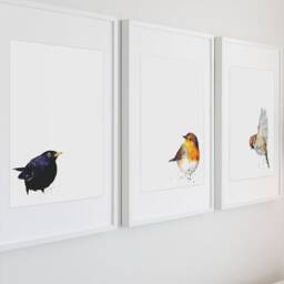 Three Little Birds Watercolour Prints. Robin Watercolour, Blackbird Watercolour, Sparrow Watercolour, , Gift For Bird Lovers, Lovers - thumbnail 2