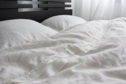 Ecofriendly 100% Linen Duvet Cover - King Size Queen Full Twin Custom - thumbnail 1