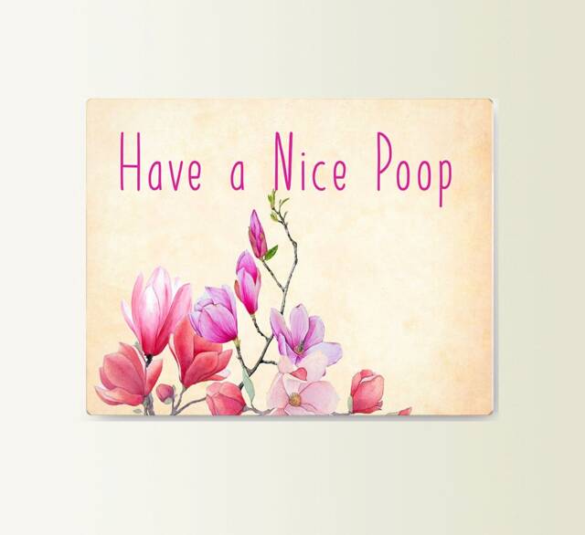 Metal Sign Have A Nice Poop - Art Typograhy Inspirational Quote Wall Fine Prints, Tin