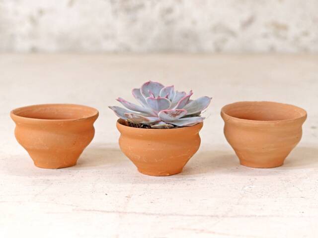 Set Of Terracotta Tea Cups - image 1