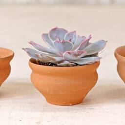 Set Of Terracotta Tea Cups - thumbnail 3