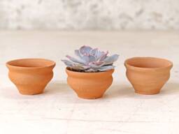 Set Of Terracotta Tea Cups - thumbnail 1