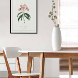 Mountain Laurel Print - Printed & Shipped Illustration Floral Watercolour Home Decor - thumbnail 3
