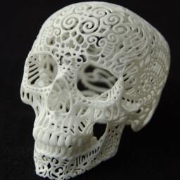 Skull Sculpture Crania Anatomica Filigre - Medium - thumbnail 2