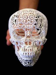 Skull Sculpture Crania Anatomica Filigre - Medium - thumbnail 1