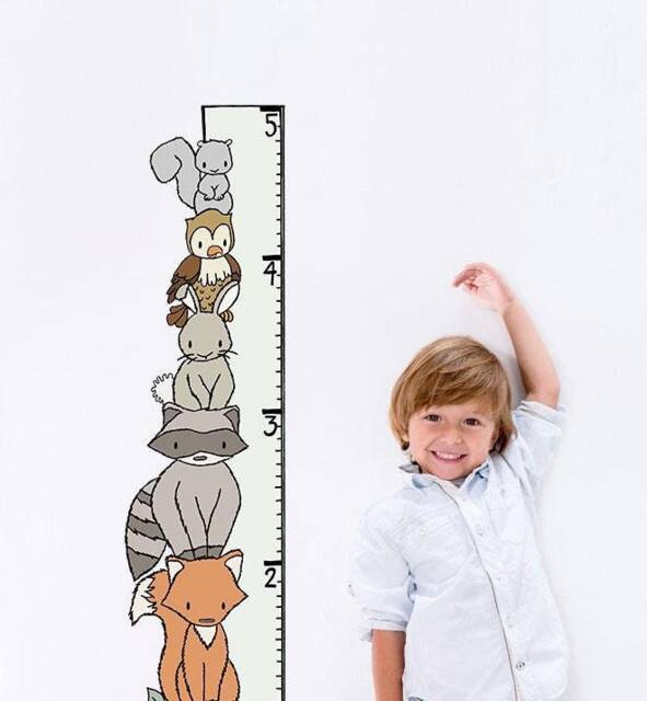 Woodland Growth Chart Wall Sticker Decal - Educational Stickers, Learning, Art, Decals, Kids Room, School, Education, Gifts