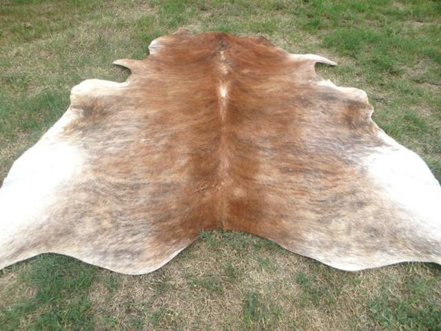 Brindle Caramel Brown Large New Cowhide Rug Natural Hair On - 6x6 Ft Size Approx Tri-Color Brown Tones Soft Carpet Cow Hide R-R C - image 1