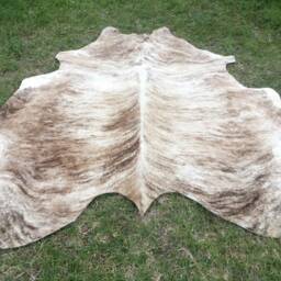 Brindle Caramel Brown Large New Cowhide Rug Natural Hair On - 6x6 Ft Size Approx Tri-Color Brown Tones Soft Carpet Cow Hide R-R C - thumbnail 3