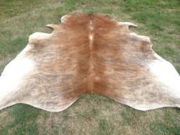 Brindle Caramel Brown Large New Cowhide Rug Natural Hair On - 6x6 Ft Size Approx Tri-Color Brown Tones Soft Carpet Cow Hide R-R C - thumbnail 1