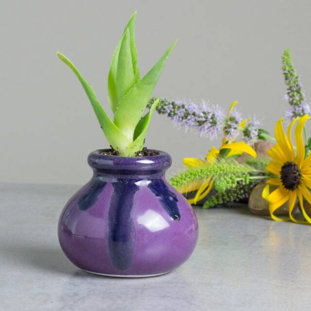 Purple Blue Succulent Ceramics Planter, Cactus Pot, Handmade Pottery, Desk Decor - image 1