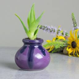 Purple Blue Succulent Ceramics Planter, Cactus Pot, Handmade Pottery, Desk Decor - thumbnail 1