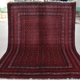 5x6 Ft Hoja Roshnai Afghan Rug Hand-Knotted Wool Turkmen Carpet - thumbnail 4