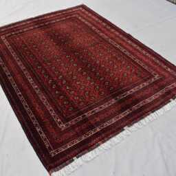 5x6 Ft Hoja Roshnai Afghan Rug Hand-Knotted Wool Turkmen Carpet - thumbnail 2