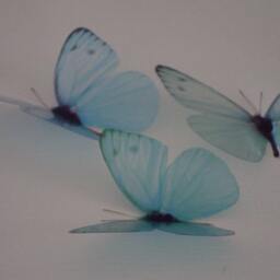 3D Butterfly Wall Decals Pastel Nursery Decor, Wedding Decorations - Set Of 20 - thumbnail 3