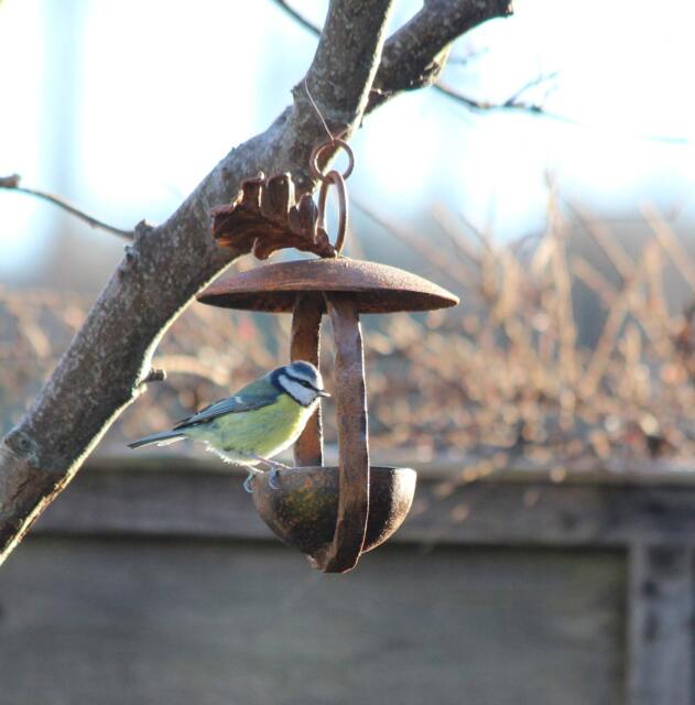 Metal Bird Feeder Wildlife Garden Decor - image 1