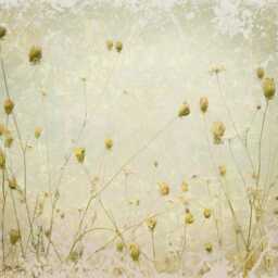 Wild Flower Meadow Grunge Art Printed Custom Made Window - Fl19 Roller Blind - thumbnail 2