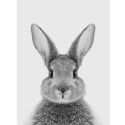 Children's Rabbit Grey Set Of 2 Wall Art Prints, Nursery Print Set, Art, New Baby, Kids Bedroom, Cute Bunny Decor Theme - thumbnail 2