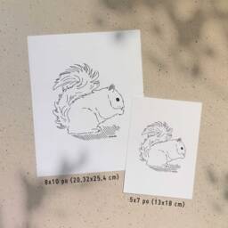 Squirrel/5x7 Or 8x10In Illustration Printed On Recycled Cardboard Darvee's Montreal Icons B+W Unisex Minimalist Art Print - thumbnail 2