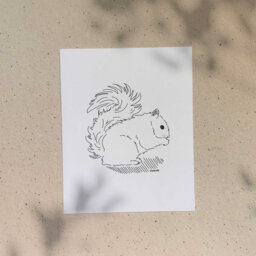 Squirrel/5x7 Or 8x10In Illustration Printed On Recycled Cardboard Darvee's Montreal Icons B+W Unisex Minimalist Art Print - thumbnail 1