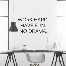 Work Hard Have Fun No Drama Inspirational Motivational Wall Decal Quote Art Inspired Focus Positive Home Room Decor Encouragement 32x16 In - thumbnail 2