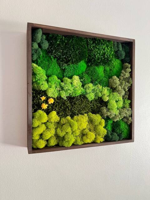 Preserved Moss Wall Art Square Wood Frame, Reindeer Decor - Usa - Tariff Free - image 1