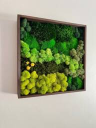 Preserved Moss Wall Art Square Wood Frame, Reindeer Decor - Usa - Tariff Free - thumbnail 1