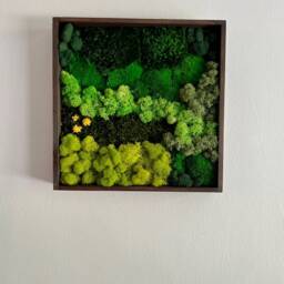 Preserved Moss Wall Art Square Wood Frame, Reindeer Decor - Usa - Tariff Free - thumbnail 3