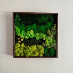 Preserved Moss Wall Art Square Wood Frame, Reindeer Decor - Usa - Tariff Free - thumbnail 2