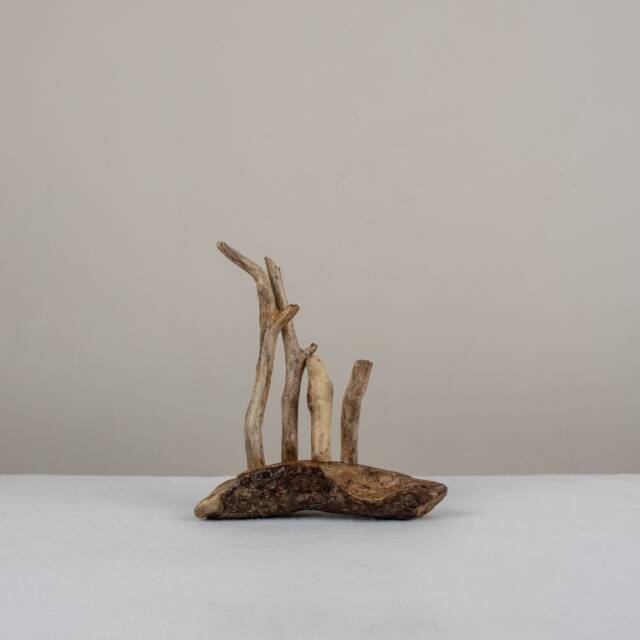 Defence. Driftwood Sculpture. Ornament. Interior Design. Unique - image 1