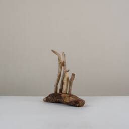 Defence. Driftwood Sculpture. Ornament. Interior Design. Unique - thumbnail 2