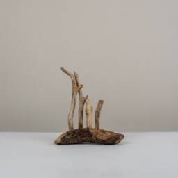 Defence. Driftwood Sculpture. Ornament. Interior Design. Unique - thumbnail 1