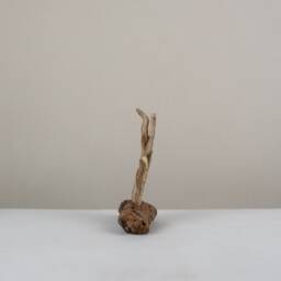 Defence. Driftwood Sculpture. Ornament. Interior Design. Unique - thumbnail 3