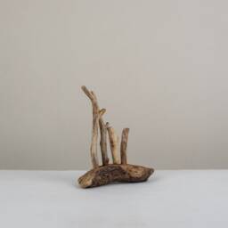 Defence. Driftwood Sculpture. Ornament. Interior Design. Unique - thumbnail 4