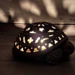 Ukrainian Ceramic Turtle Figurine, Vladimir Butcanov Artwork - thumbnail 4