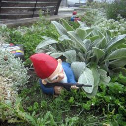 Combat Garden Gnome - In Prone Position With M-16 - thumbnail 2