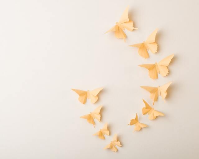 3D Wall Butterflies Custard Butterfly Silhouettes For Girls Room, Nursery, & Home Art Decor - image 1
