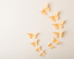 3D Wall Butterflies Custard Butterfly Silhouettes For Girls Room, Nursery, & Home Art Decor - thumbnail 1