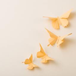 3D Wall Butterflies Custard Butterfly Silhouettes For Girls Room, Nursery, & Home Art Decor - thumbnail 3