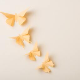 3D Wall Butterflies Custard Butterfly Silhouettes For Girls Room, Nursery, & Home Art Decor - thumbnail 2