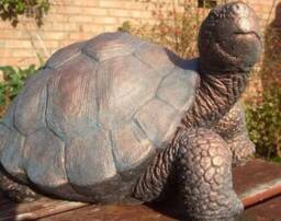Large Stone Tortoise Garden Ornament Bronzed Finish