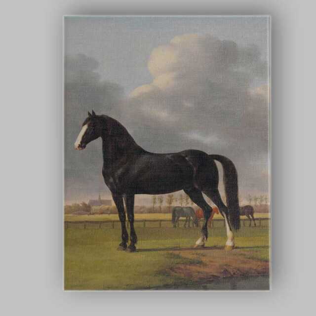 Black Horse Portrait in Pastoral Meadow Classical Country Landscape Canvas Wall Art Print Decor Picture Ready To Hang - image 1