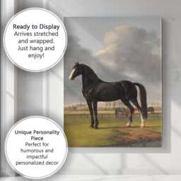 Black Horse Portrait in Pastoral Meadow Classical Country Landscape Canvas Wall Art Print Decor Picture Ready To Hang - thumbnail 3