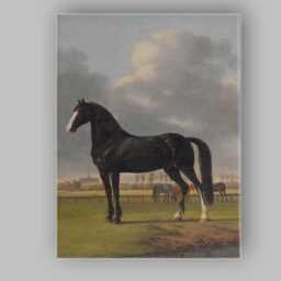 Black Horse Portrait in Pastoral Meadow Classical Country Landscape Canvas Wall Art Print Decor Picture Ready To Hang - thumbnail 1