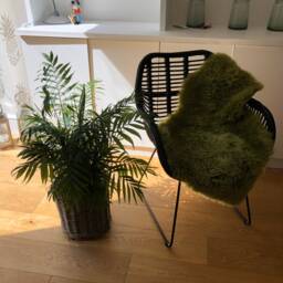 Green Sheepskin Rug, Lime Green Genuine Sheepskin, Fluffy Fur Cover, Bed Throw - thumbnail 4