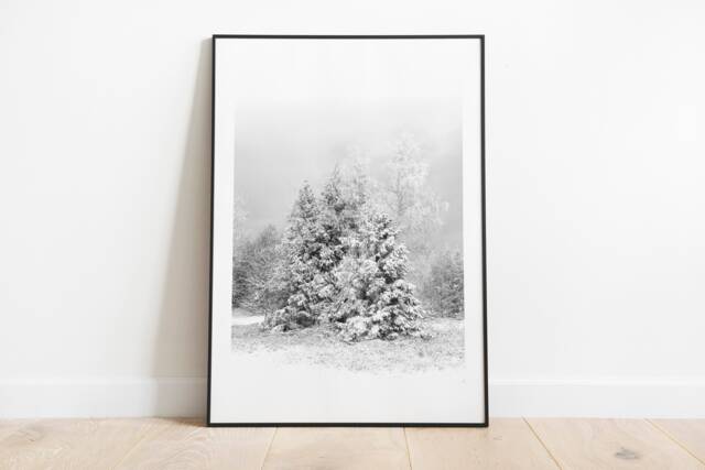 Winter Print Trees Photo, Snowy Forest Landscape, Black & White Christmas Art, Holiday Wall Decor, Ski Lodge Digital Download - image 1