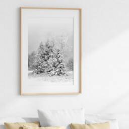 Winter Print Trees Photo, Snowy Forest Landscape, Black & White Christmas Art, Holiday Wall Decor, Ski Lodge Digital Download - thumbnail 3